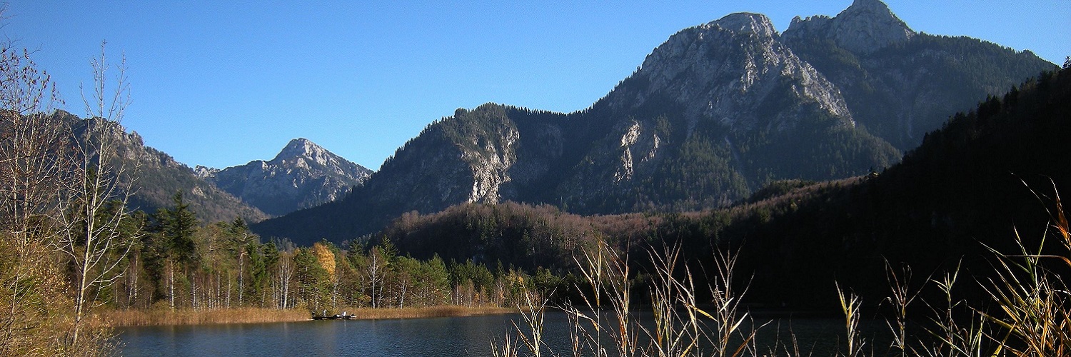 Anbieter und Angebote für den Regierungsbezirk Schwaben